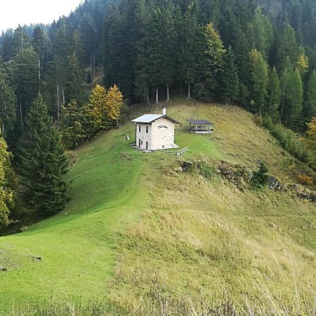 B&B Ai Pini Tiarno di Sopra Kültér fotó