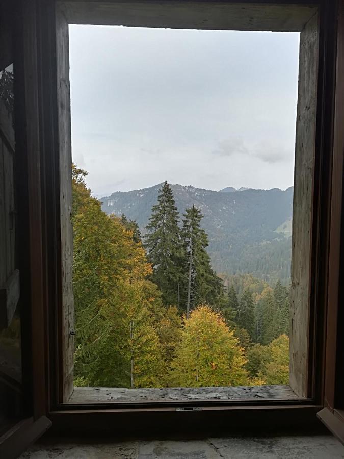 B&B Ai Pini Tiarno di Sopra Kültér fotó