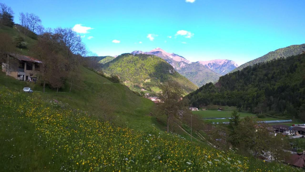 B&B Ai Pini Tiarno di Sopra Kültér fotó